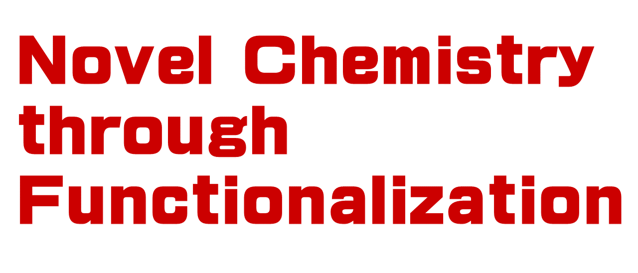 New Chemistry through Functionalization